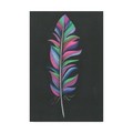 Trademark Fine Art Nicky Kumar 'Colorful Feather' Canvas Art, 12x19 ALI43899-C1219GG